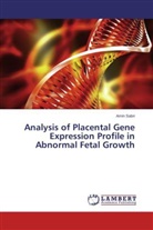 Amin Sabri - Analysis of Placental Gene Expression Profile in Abnormal Fetal Growth