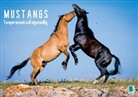 Calvendo - Temperamentvoll eigenwillig: Mustangs (Tischaufsteller DIN A5 quer)