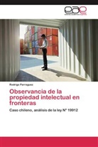Rodrigo Parraguez - Observancia de la propiedad intelectual en fronteras