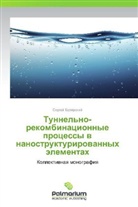 Sergej Bulqrskij, Sergey Bulyarskiy - Tunnel'no-rekombinatsionnye protsessy v nanostrukturirovannykh elementakh