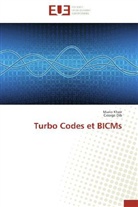George Dib, Mari Kheir, Mario Kheir - Turbo codes et bicms
