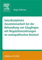 Birgi Gillemot, Birgit Gillemot - Interdisziplinäre Zusammenarbeit bei der Behandlung von Säuglingen mit Regulationsstörungen im osteopathischen Kontext