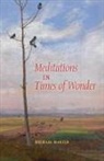 Michael Martin - Meditations in Times of Wonder