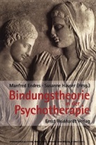 Susanne Hauser, Manfred Endres - Bindungstheorie in der Psychotherapie