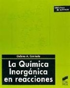 Gabino A. Carriedo - La química inorgánica en reacciones
