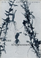 Erich Menner - Unsere Süßwasserpolypen