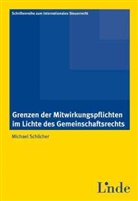 Michael Schilcher, Michae Lang, Michael Lang - Schriftenreihe zum Internationalen Steuerrecht - Bd. 63:: Grenzen der Mitwirkungspflichten im Lichte des Gemeinschaftsrechts (f. Österreich)