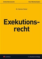 Hannes Seiser - Exekutionsrecht