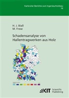 Hans J. Blaß, Hans Joachi Blass, Hans Joachim Blaß, Matthias Frese - Schadensanalyse von Hallentragwerken aus Holz