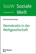 Hauke Brunkhorst - Demokratie in der Weltgesellschaft