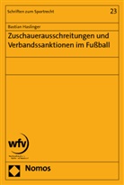 Bastian Haslinger - Zuschauerausschreitungen und Verbandssanktionen im Fußball
