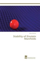 Klaus Kröncke - Stability of Einstein Manifolds