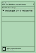 Peter Schlechtriem - Wandlungen des Schuldrechts