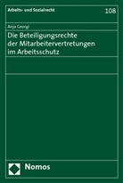 Anja Georgi - Die Beteiligungsrechte der Mitarbeitervertretungen im Arbeitsschutz
