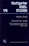 Walter Groß - Zukunft für Israel