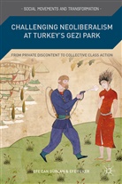 Efe Can Geurcan, E. Gurcan, Efe Can Gurcan, Efe Can Peker Gurcan, Gürcan, E Gürcan... - Challenging Neoliberalism At Turkey''s Gezi Park