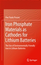 Pier Paolo Prosini - Iron Phosphate Materials as Cathodes for Lithium Batteries