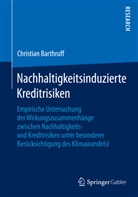 Christian Barthruff - Nachhaltigkeitsinduzierte Kreditrisiken