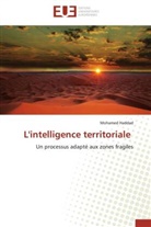 Mohamed Haddad, Haddad-m - L intelligence territoriale