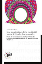 Antoine Marie Bogso, Bogso-a - Une application de la positivite