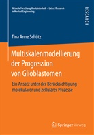 Tina A. Schütz, Tina Anne Schütz - Multiskalenmodellierung der Progression von Glioblastomen