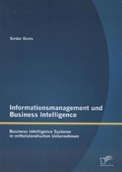 Serdar Danis - Informationsmanagement und Business Intelligence: Business Intelligence Systeme in mittelständischen Unternehmen