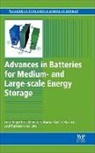 C Menictas, C. Menictas, Chris (School of Mechanical and Manufact Menictas, Chris Skyllas-Kazacos Menictas, T. M. (Nanyang Technological University Lim, Chris (School of Mechanical and Manufacturing Engineering Menictas... - Advances in Batteries for Medium and Large-Scale Energy Storage