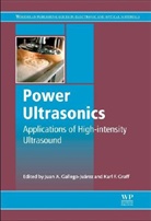 Juan Gallego-Juarez, Juan (Research Professor Gallego-Juarez, Juan A. (Research Professor Gallego-Juarez, Juan Graff Gallego-Juarez, Karl F. Graff, Juan Gallego-Juarez... - Power Ultrasonics