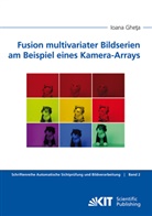 Ioana Gheta - Fusion multivariater Bildserien am Beispiel eines Kamera-Arrays