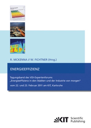 Russell; McKenna, Fichtner, Fichtner, Wolf Fichtner, Russel McKenna, … - Energieeffizienz : Tagungsband des VDI-Expertenforums "Energieeffizienz in den Städten und der Industrie von morgen" ; vom 22. und 23. Februar 2011 am KIT, Karlsruhe