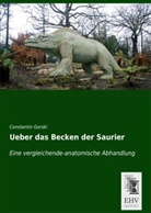 Constantin Gorski - Ueber das Becken der Saurier