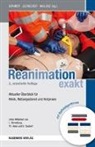Olaf Pohlmann, Roman Böhmer, Thoma Schneider, Thomas Schneider, Benno Wolcke - Reanimation exakt