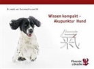 Susanne Hauswirth, Susanne (Dr. med. vet.) Hauswirth - Wissen kompakt - Akupunktur Hund