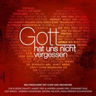 Various, Various Artists - Gott hat uns nicht vergessen, 1 Audio-CD (Audio book)