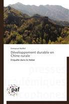 Emmanuel Breffeil, Breffeil-e - Developpement durable en chine