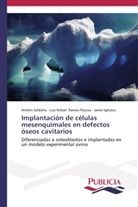 Iglesias, Javier Iglesias, Luis Rafae Ramos Pascua, Luis Rafael Ramos Pascua, Luis Rafael. Ramos Pascua, André Saldaña... - Implantación de células mesenquimales en defectos óseos cavitarios
