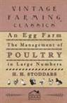 H. Hudson Stoddard, H H. Stoddars - An Egg Farm - The Management of Poultry in Large Numbers