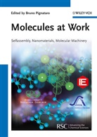 Bruno Pignataro, Brun Pignataro, Bruno Pignataro - Molecules at Work