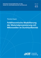 Thorsten Kayser - Feldtheoretische Modellierung der Materialprozessierung mit Mikrowellen im Durchlaufbetrieb