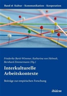 Friederike von Helmolt Barié-Wimmer, Friederike von Helmolt Katharina Zim Barié-Wimmer, Alexander Scheitza, Friederike Barié-Wimmer, Gabriele Berkenbusch, Katharina V Helmolt... - Interkulturelle Arbeitskontexte
