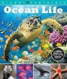 Paul Calver, Toby Reynolds, Toby/ Calver Reynolds - Ocean Life