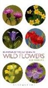 Bob Gibbons, Jane Lawes - Pocket Guide To Wild Flowers