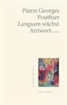 Pierre Georges Pouthier - Langsam wächst die Antwort