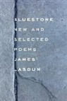 James Lasdun - Bluestone