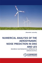 Alexander Lozovskiy - NUMERICAL ANALYSIS OF THE AERODYNAMIC NOISE PREDICTION IN DNS AND LES
