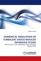 Afaque Shams - NUMERICAL SIMULATION OF TURBULENT SHOCK-INDUCED SEPARATED FLOWS
