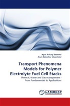A. S. Mujumdar, Arun Sadashiv Mujumdar, Agus Pulun Sasmito, Agus Pulung Sasmito - Transport Phenomena Models for Polymer Electrolyte Fuel Cell Stacks