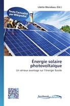 Lilett Blondeau, Lilette Blondeau - Énergie solaire photovoltaïque