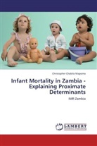 Christopher Chabila Mapoma - Infant Mortality in Zambia - Explaining Proximate Determinants
