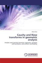 Albert Mas - Cauchy and Riesz transforms in geometric analysis
